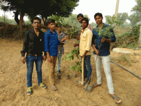 bhapura-plantation-drive1